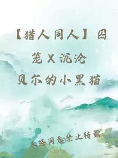 【猎人同人】囚笼Ｘ沉沦